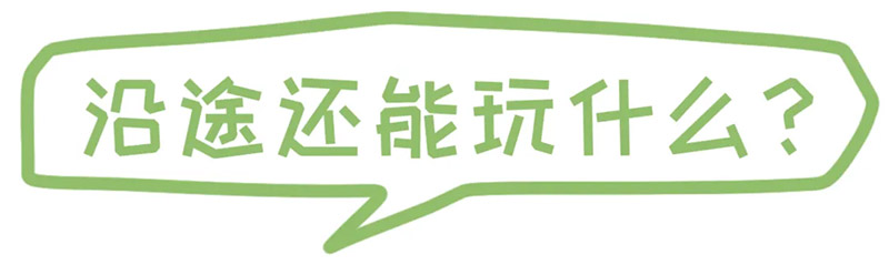 PP电子·(中国)官方网站