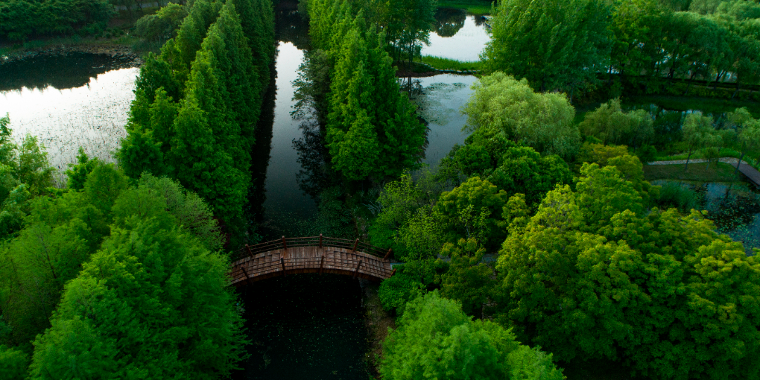 a05478b34dbd5ee8b7f4ad1ba768da6a 5.png