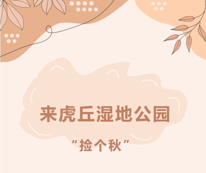 80405236e862637ea77d8ba948a42516 0.png
