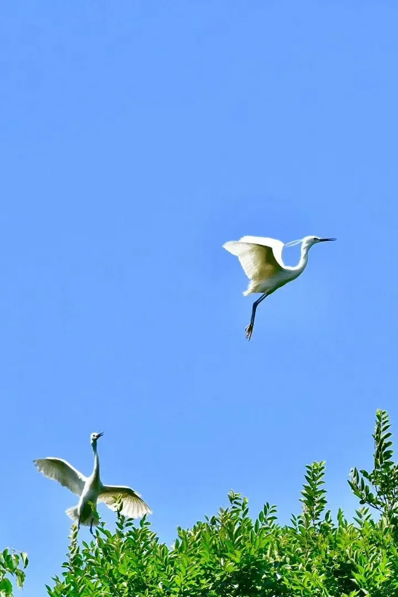 8230f587775e2b3b22dc60d9dc423856 imgi_23_640.jpg