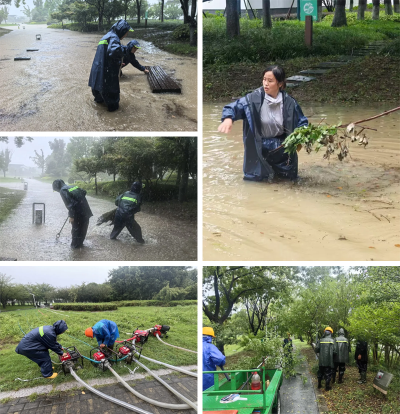 ee8856a719bbefe5579ade1a091ef5e2 未标题-1_03.png